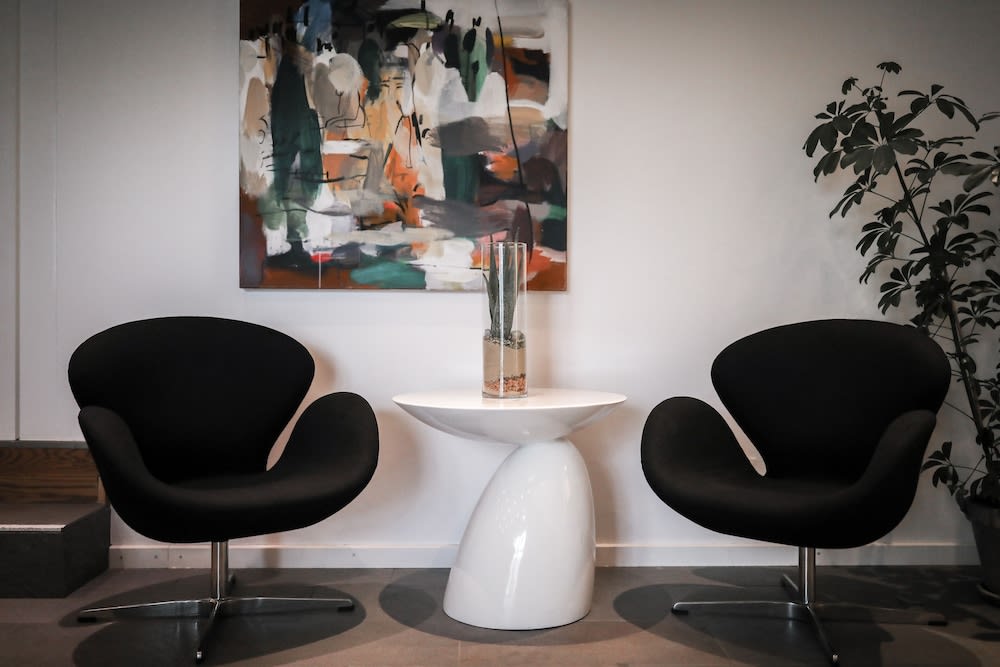 Dolphin Hotel Herning 2