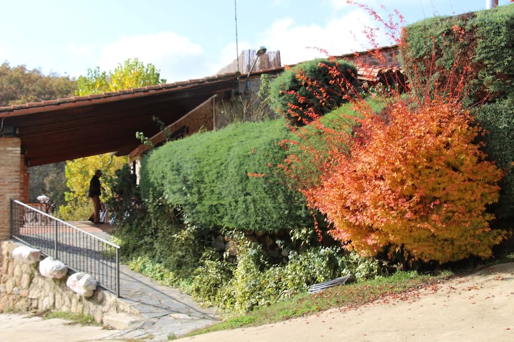 Hostel El Lago, Caceres 2