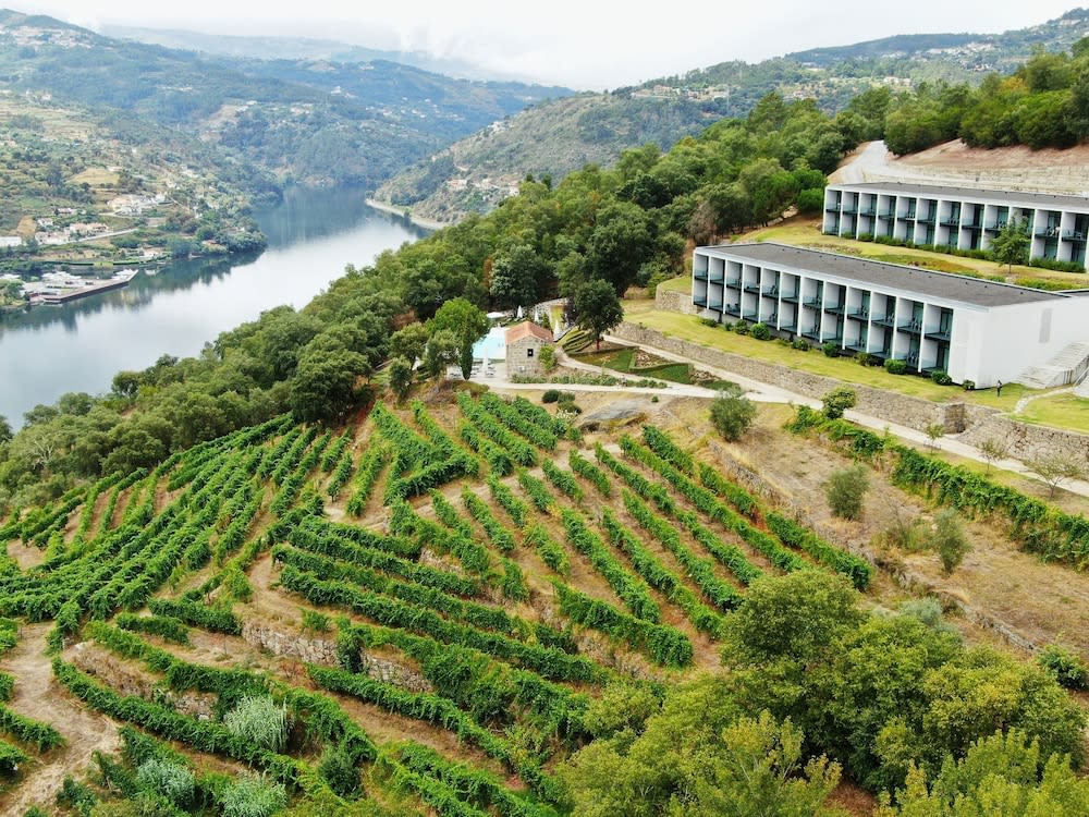 Douro Palace Hotel Resort and Spa 1