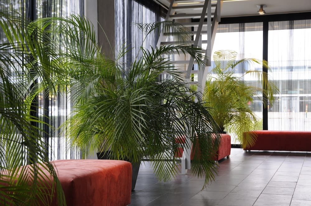 Hotel Corbie Lommel 1