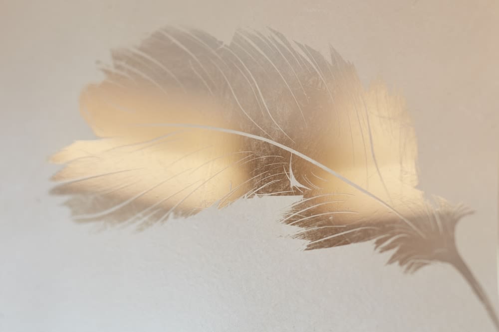 Mandarin Oriental Hyde Park, London 5