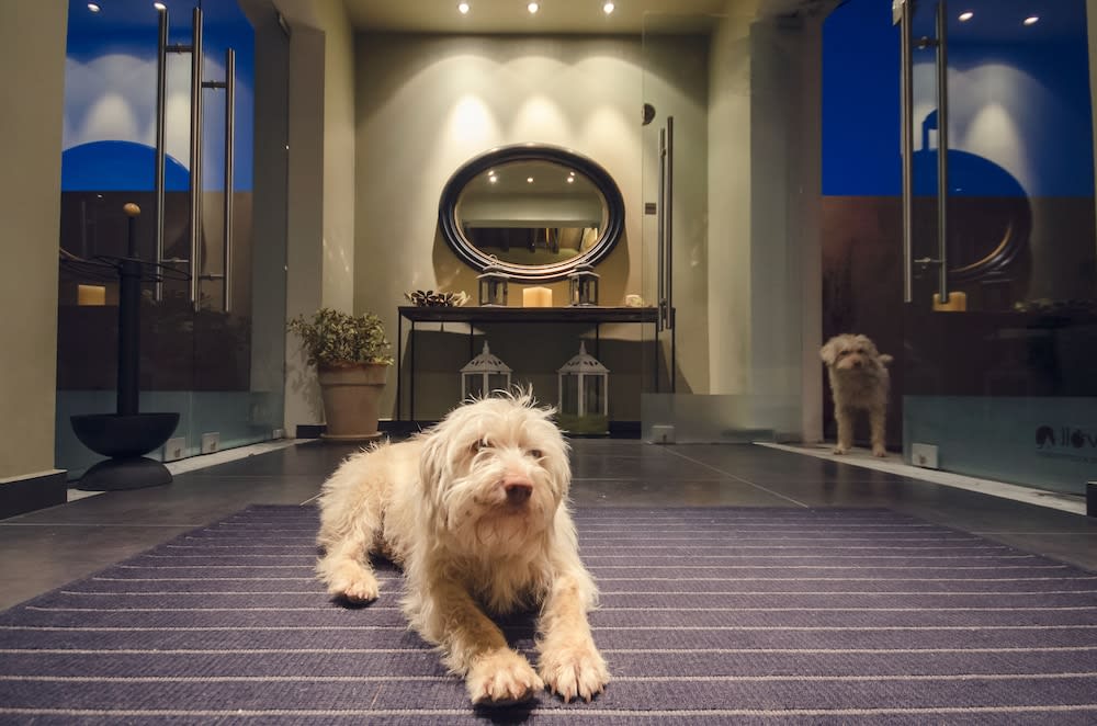 Perivoli Country Hotel & Retreat 2