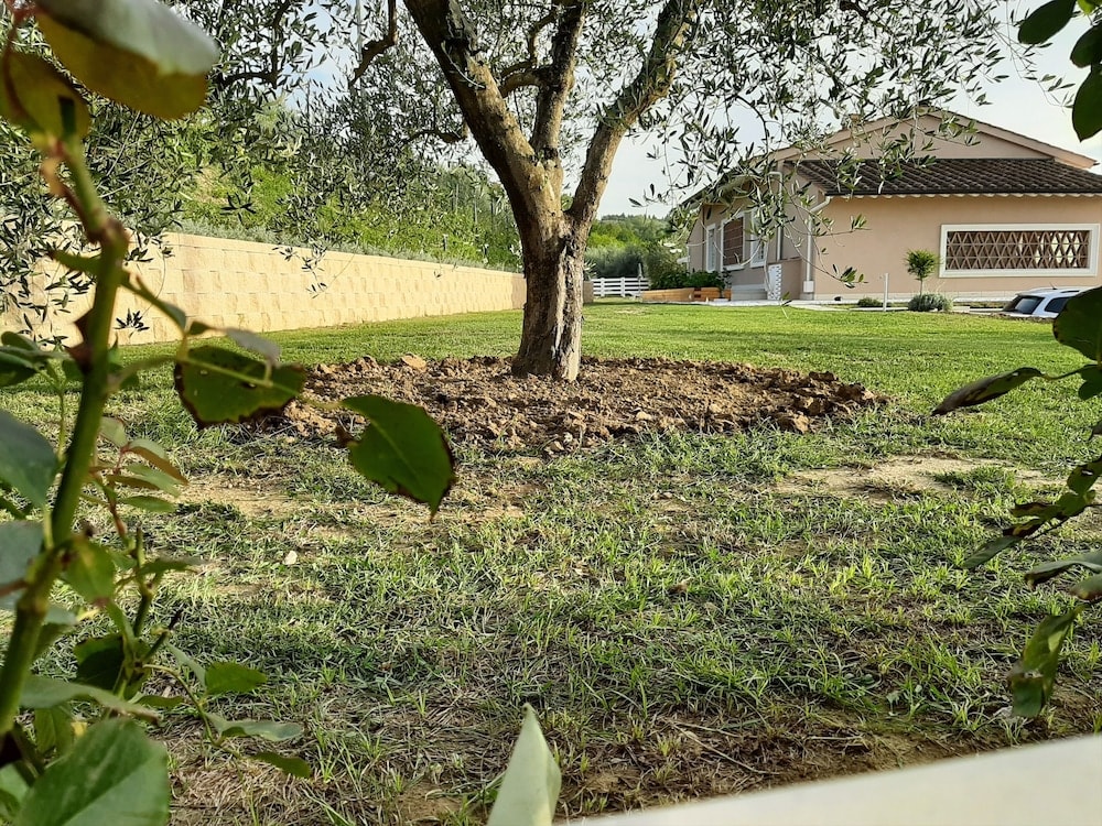 LE MAMMOLE 1