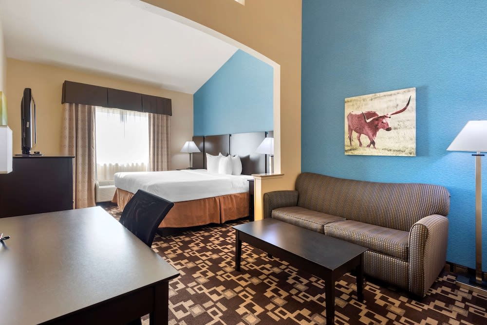 Best Western Plus Arlington North Hotel & Suites 4