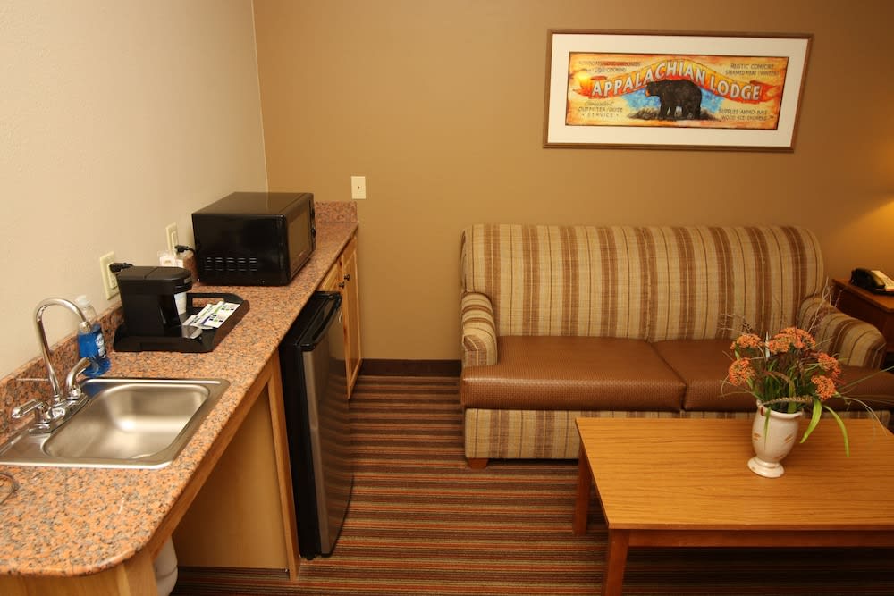 Holiday Inn Express & Suites DONEGAL by IHG 2