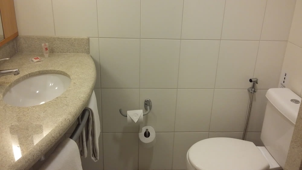 Ibis Belo Horizonte Savassi 1