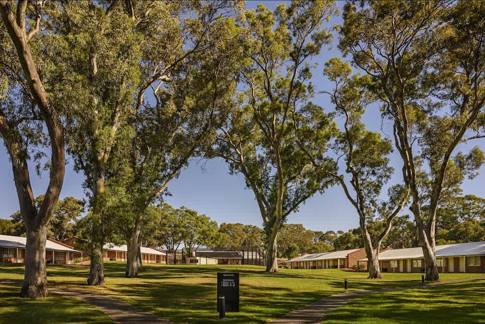 Serafino McLaren Vale 1
