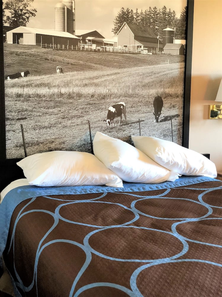 Super 8 by Wyndham Dodgeville 4