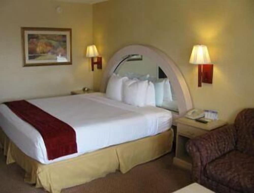 Super 8 by Wyndham Sumter 5