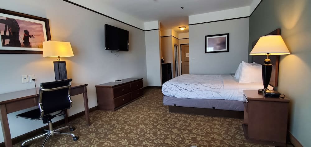 Best Western Plus Emory at Lake Fork Inn & Suites 5