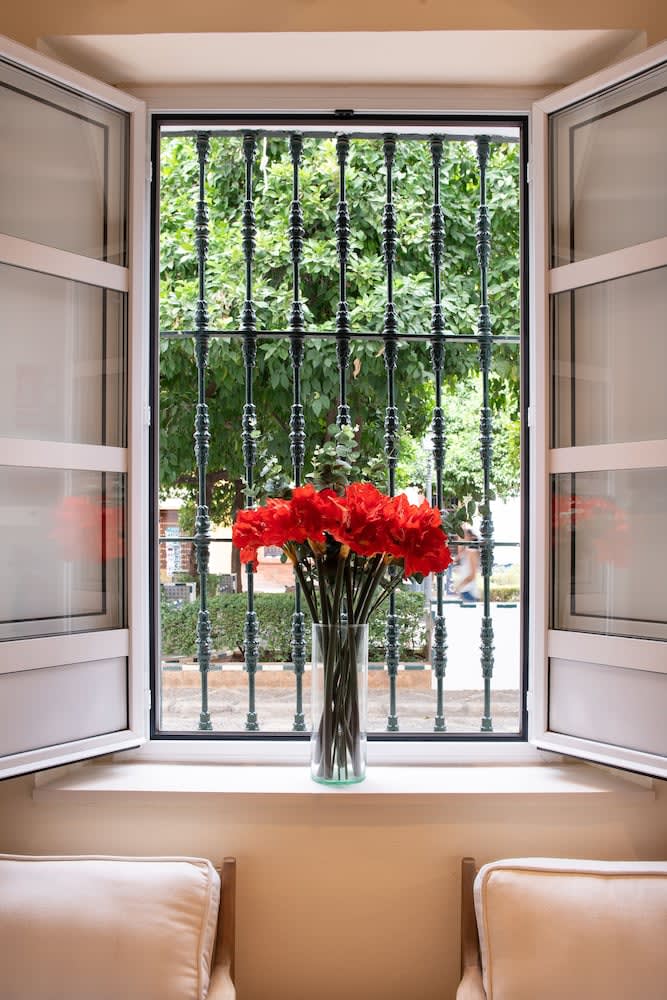 Hotel Boutique Elvira Plaza 4