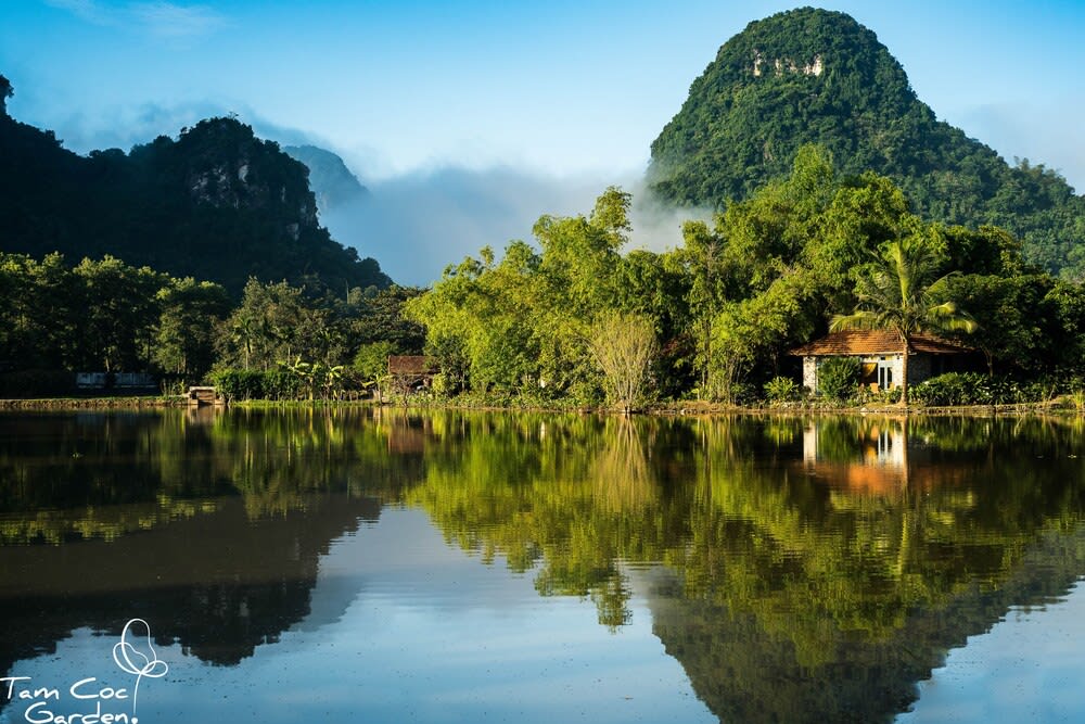Tam Coc Garden Resort 1
