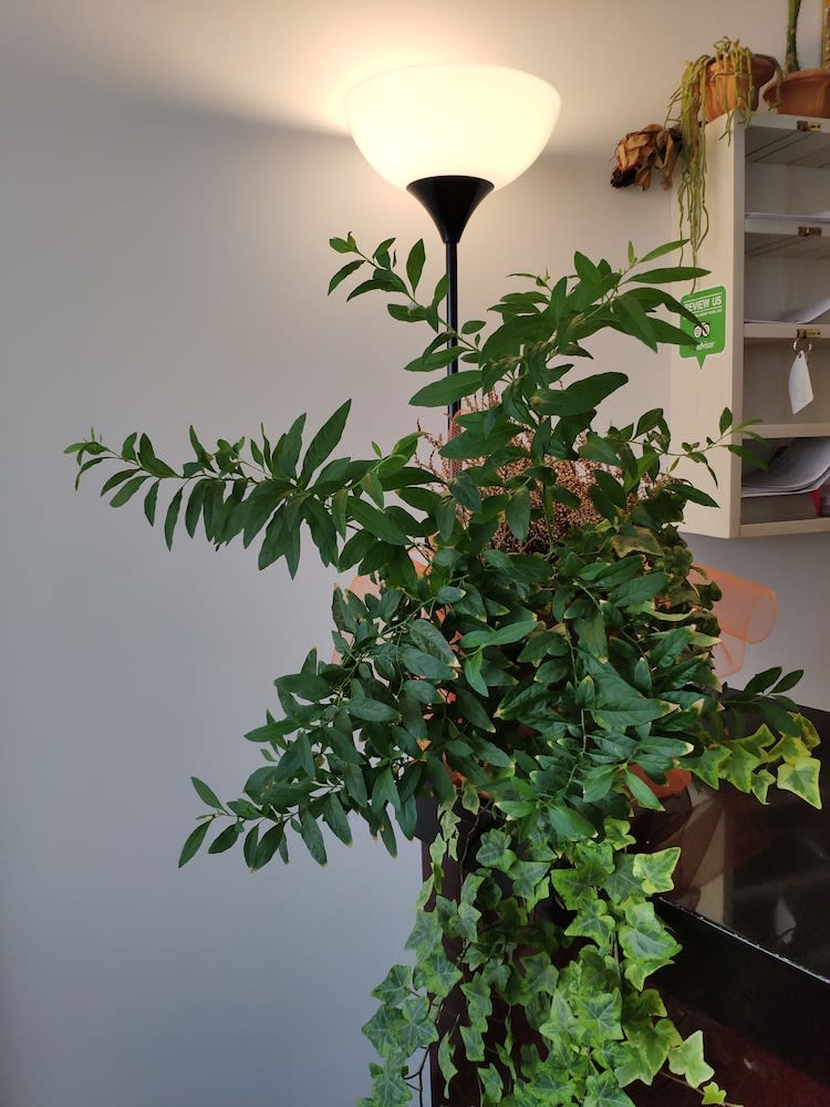 Hotel Feel Inn Venice Airport 2