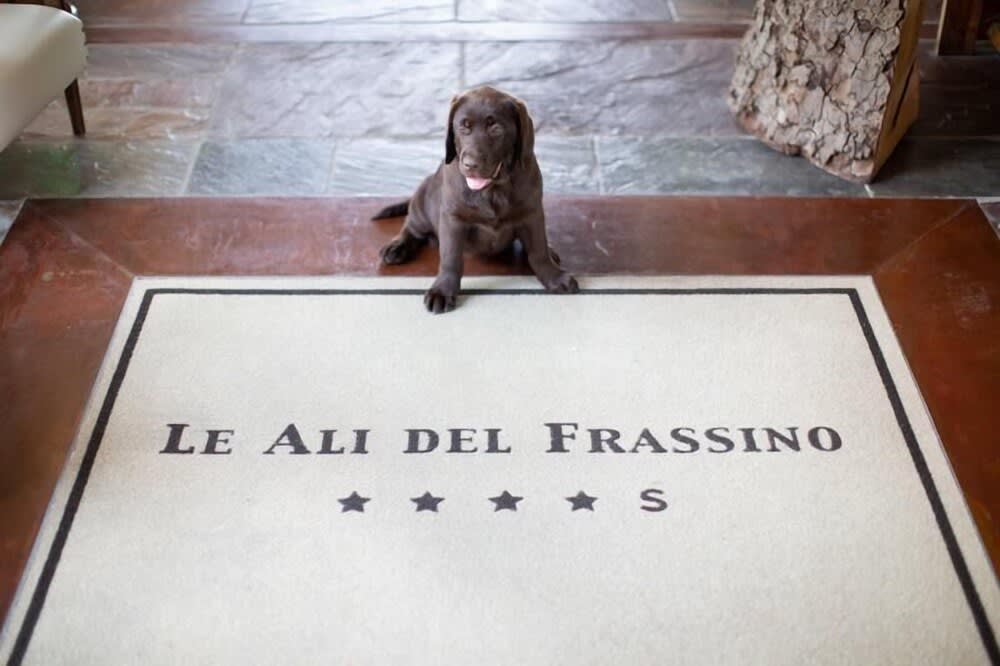 Le Ali Del Frassino 3