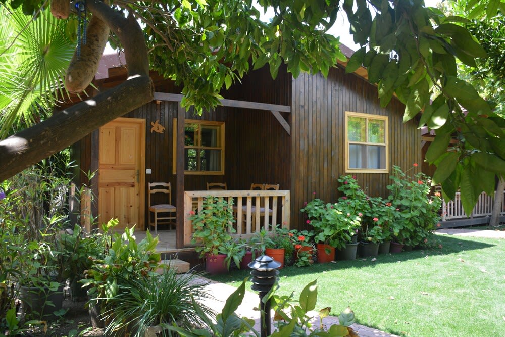 Caretta Caretta Pension 1
