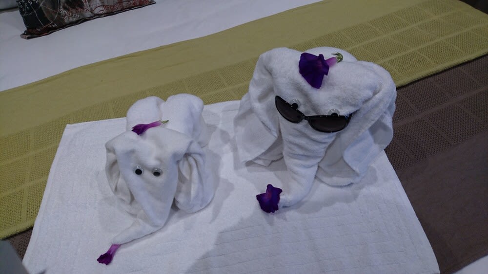 Two Fat Owls Guesthouse 2