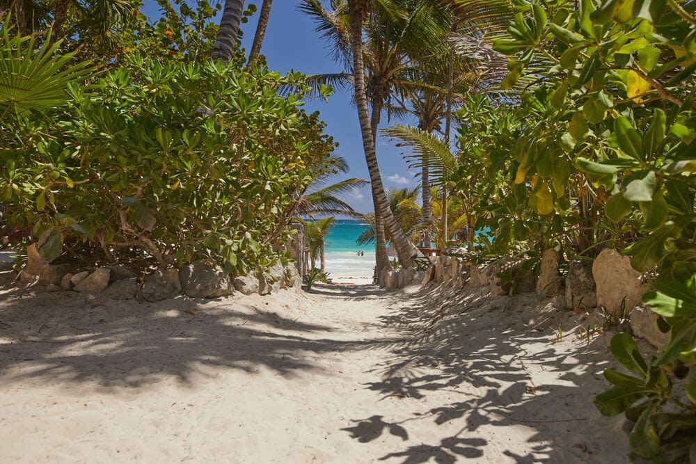 Dos Ceibas Tulum - Feel Good Hotel 1