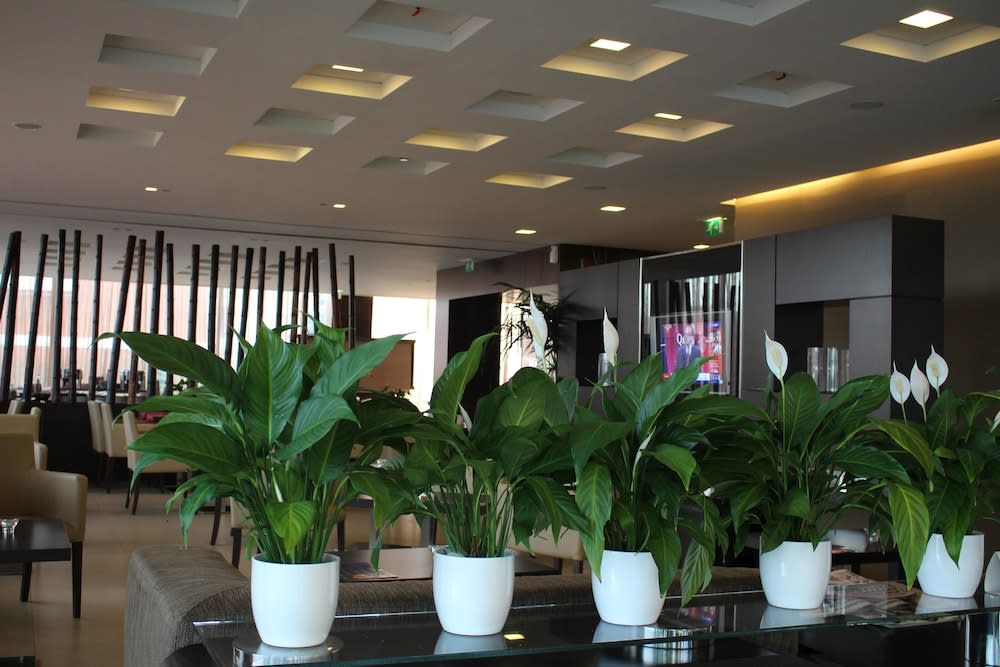 Best Western Hotel Goldenmile Milan 2