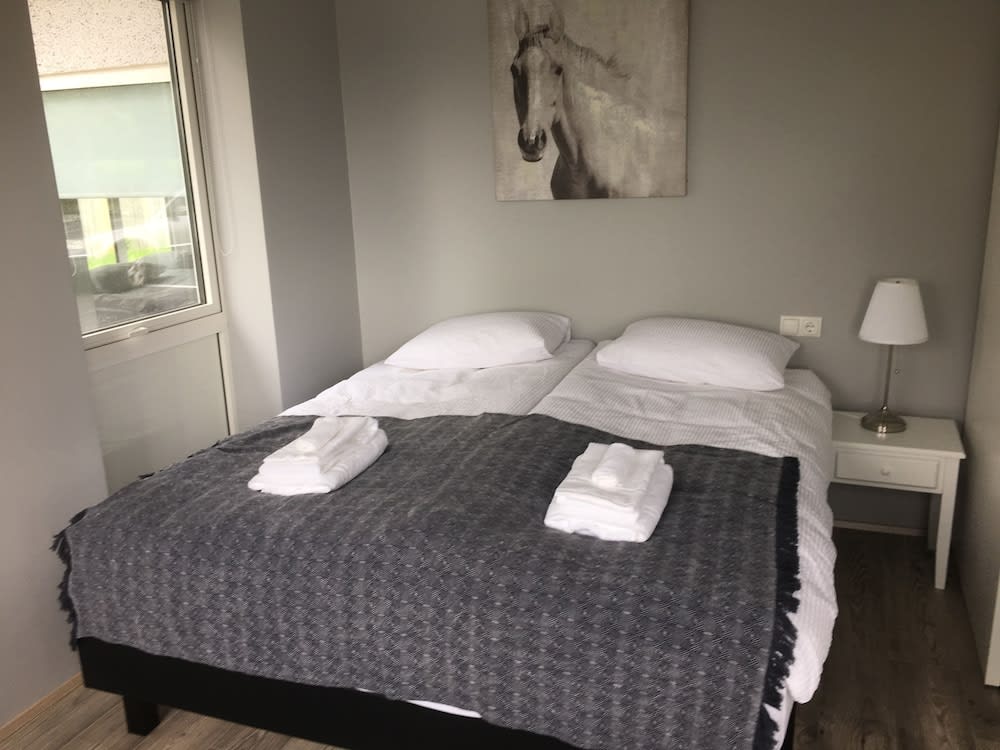 Reykjadalur Guesthouse 2