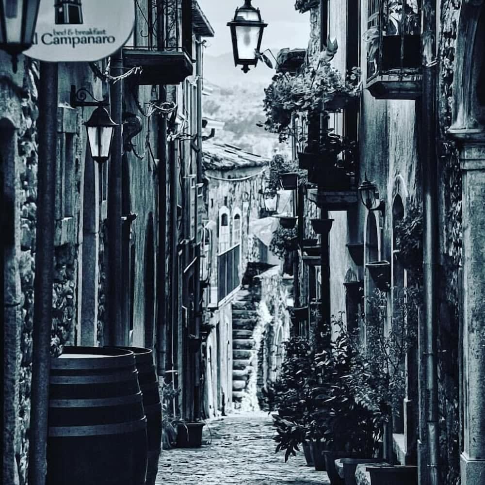 Al Campanaro b&b 1