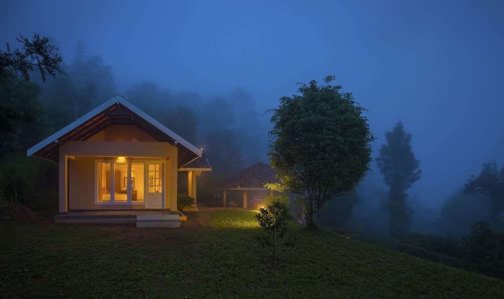 After the Rains - Rainforest Lodge 2