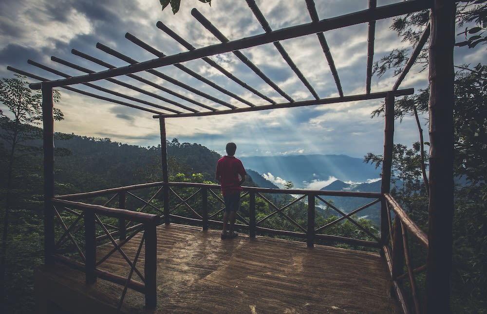 After the Rains - Rainforest Lodge 1