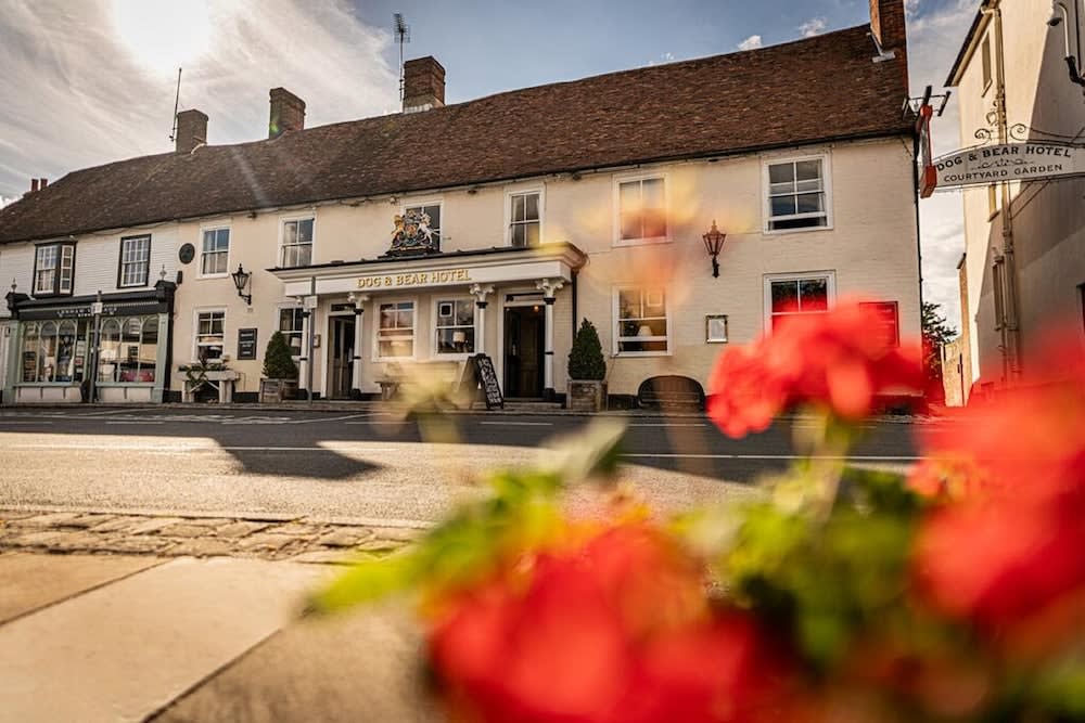 The Dog & Bear Hotel 1