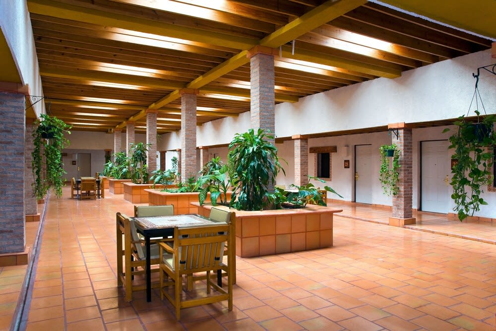 Termas de San Joaquin 2