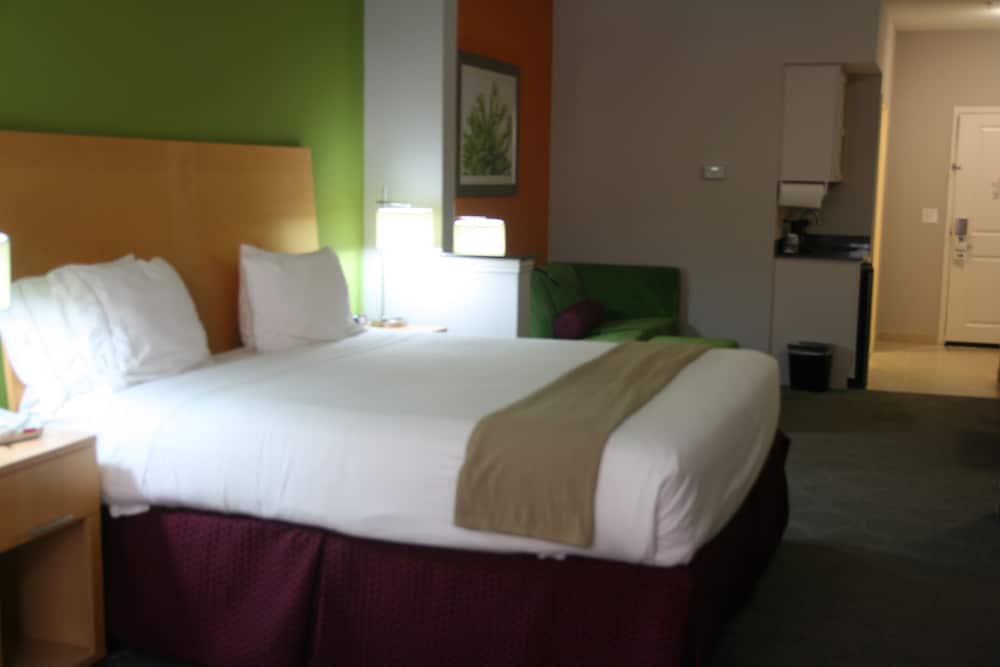 Holiday Inn Express & Suites CLUTE - LAKE JACKSON by IHG 2