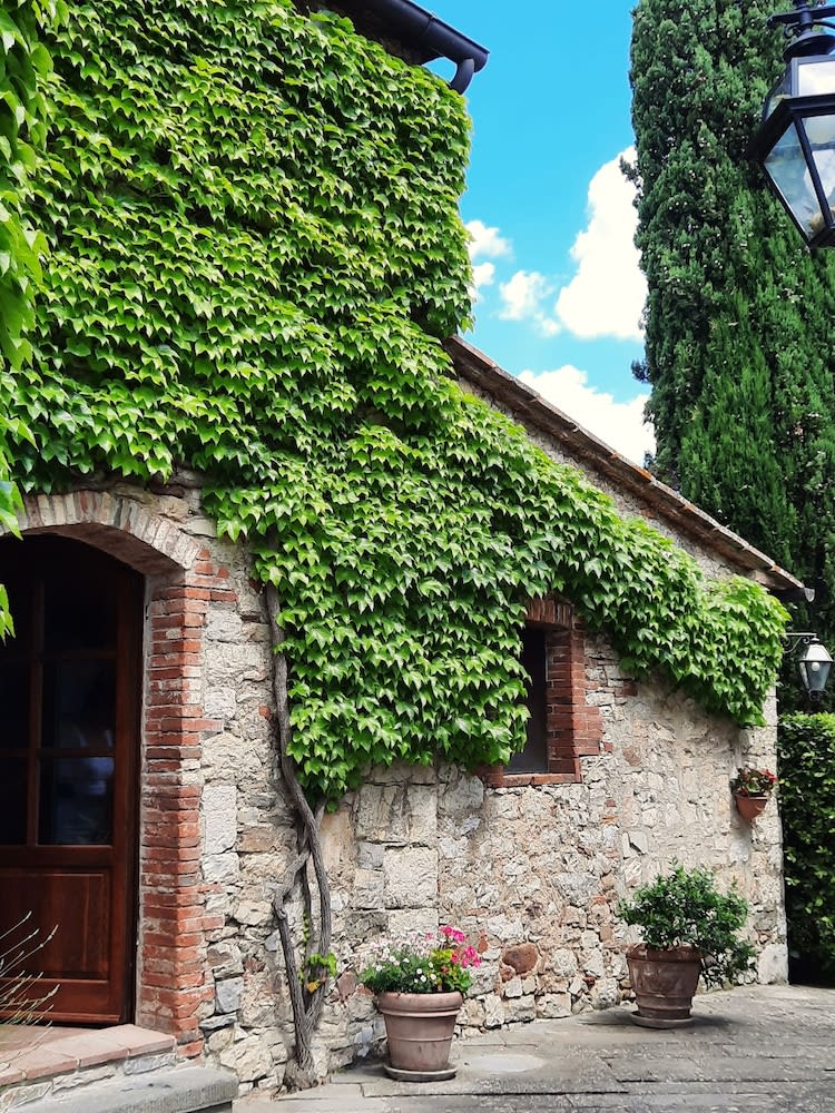 Borgo Livernano 1