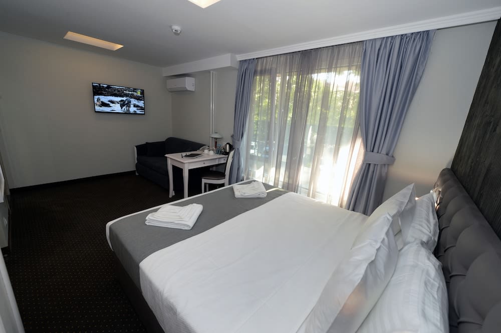 Hotel Alexandar II 4