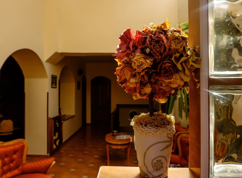 Casa Wagner 2