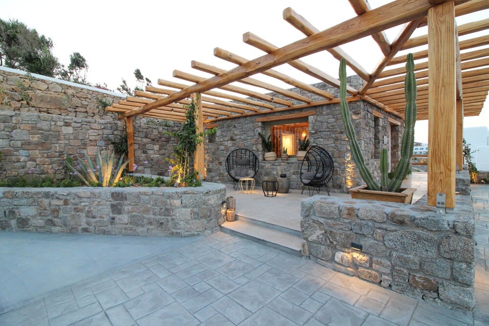 Mykonos Cactus 2