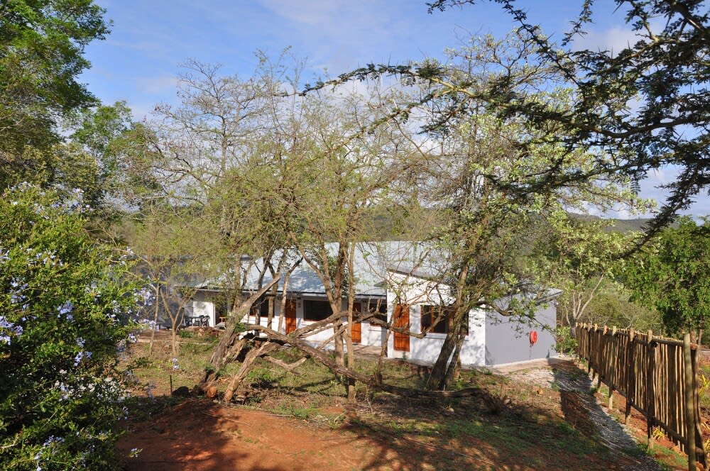 Hazyview Buffalo Game Lodge 1