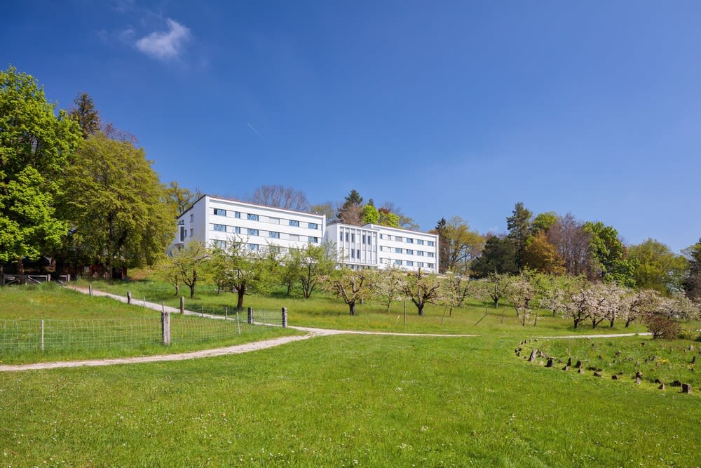 Le Domaine (Swiss Lodge) 1