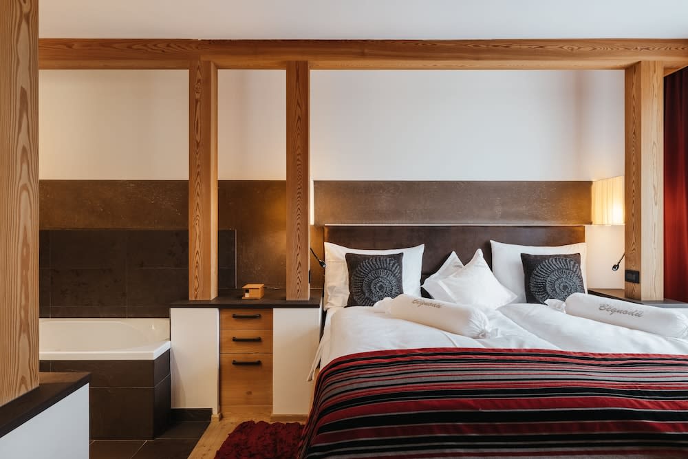 Lagació Hotel Mountain Residence 4