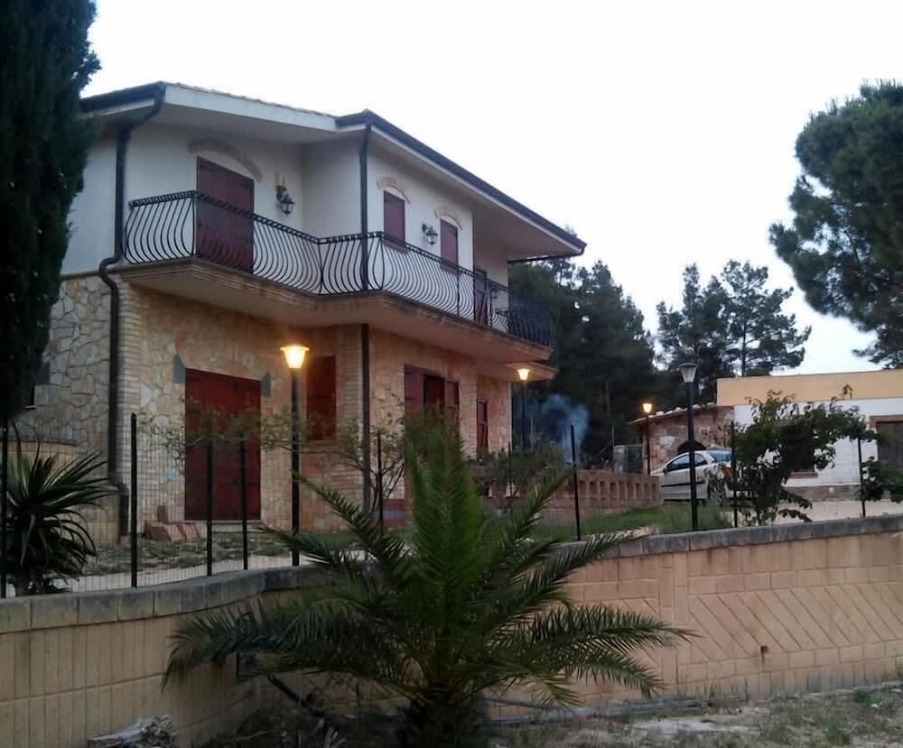 Il Ficodindia 1