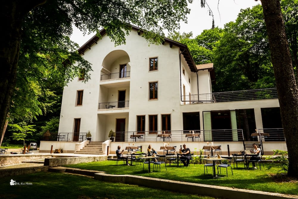 Elda Hotel 1