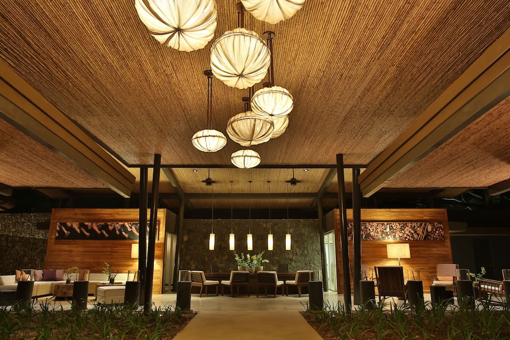 El Mangroove Papagayo, Autograph Collection 3