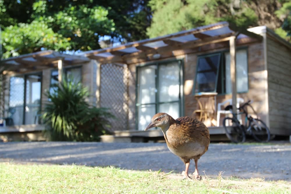 Russell-Orongo Bay Holiday Park 1