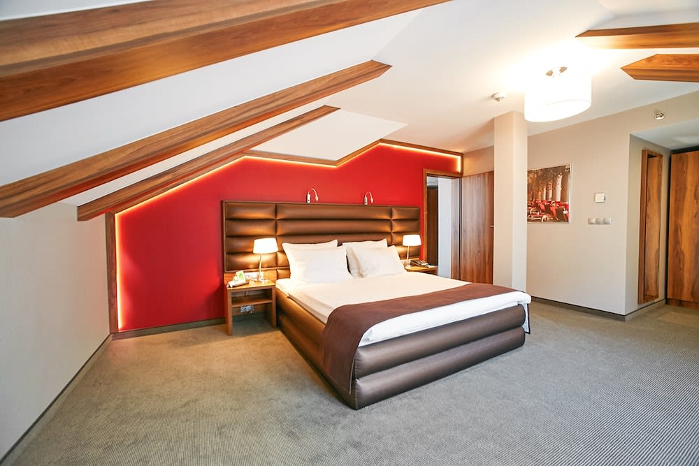 Holiday Inn KRAKOW CITY CENTRE by IHG 5