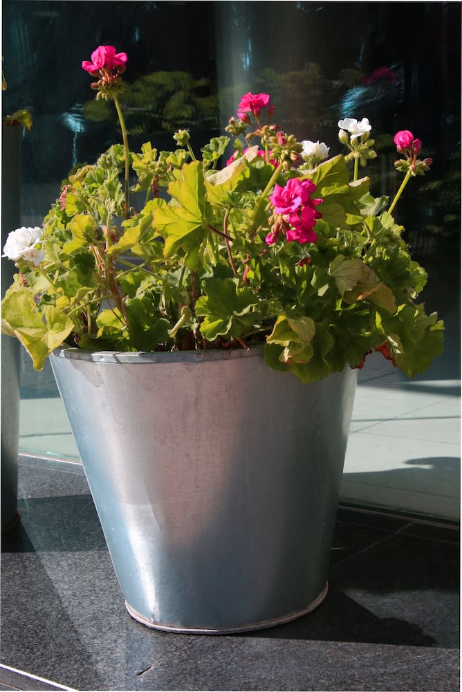 Hotel Gran Regente 2