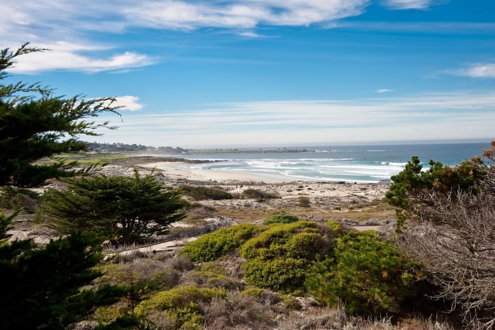 Asilomar Conference Grounds 1