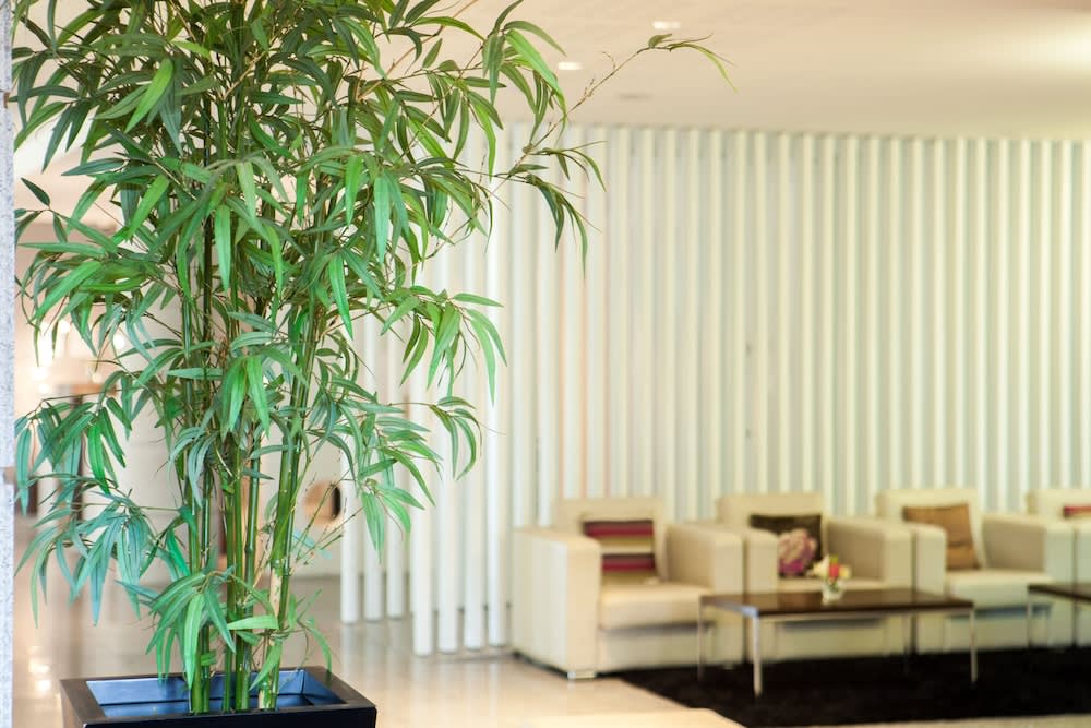 Lux Fatima Park - Hotel, Suites & Residence 3