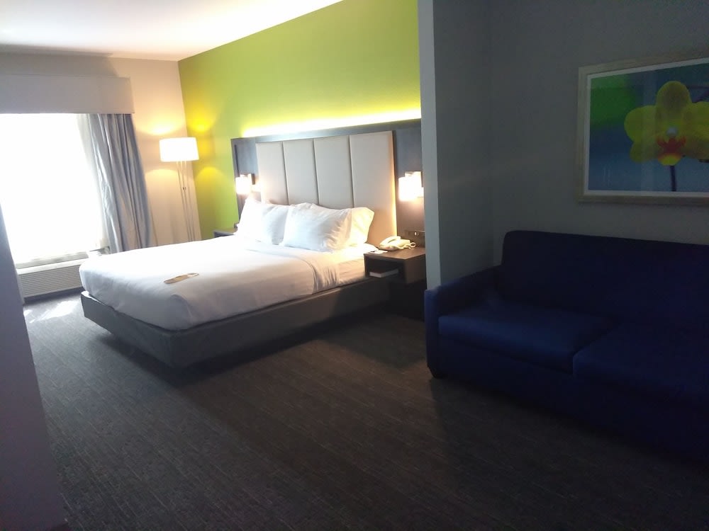 Holiday Inn Express Hotel & Suites Pearland by IHG 5