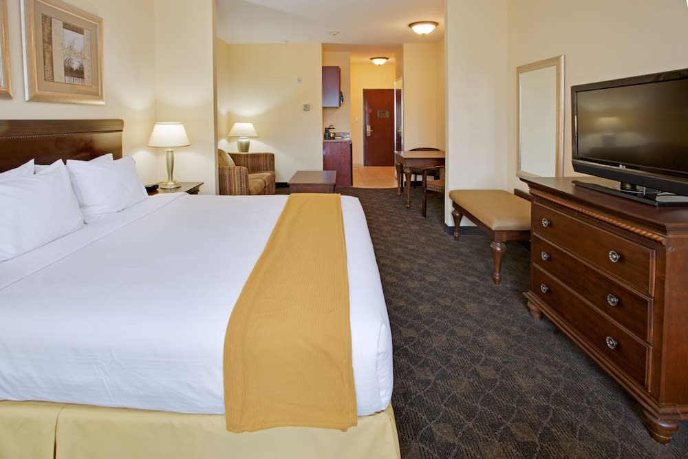 Holiday Inn Express Hotel & Suites Pearland by IHG 4