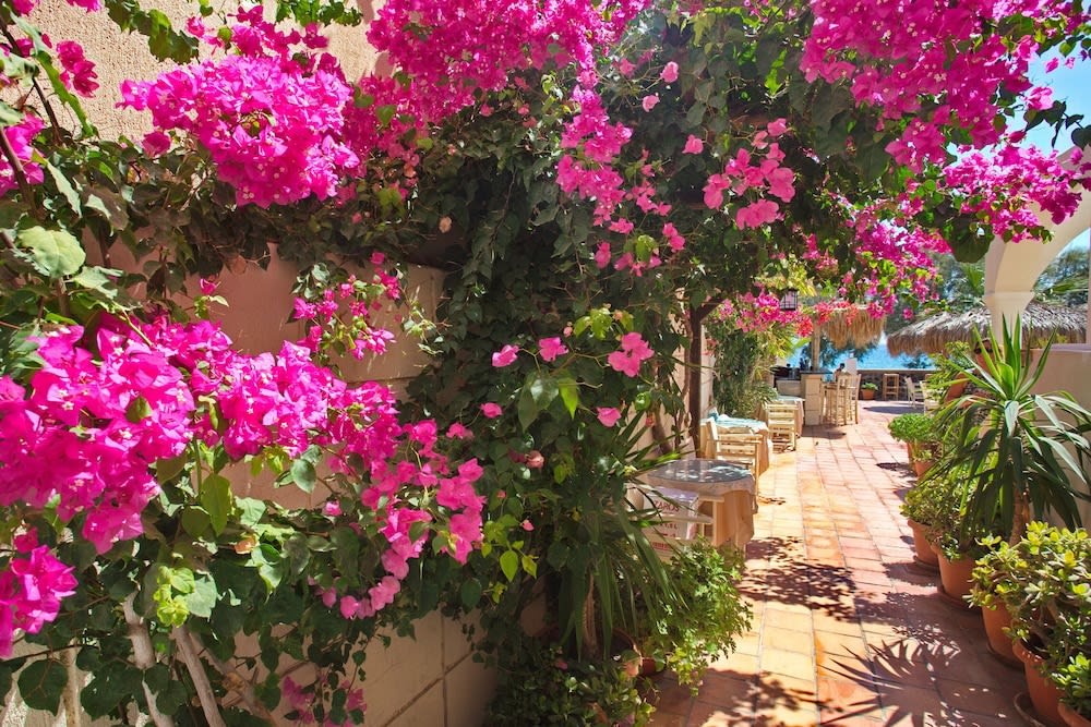 The Boathouse Hotel 3