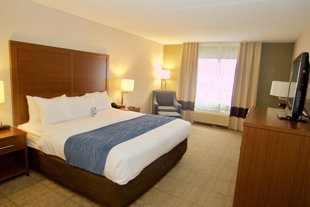 Comfort Inn Near Quantico Main Gate North 3