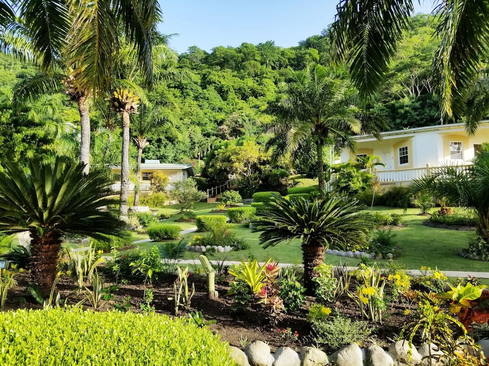Blue Horizons Garden Resort 1
