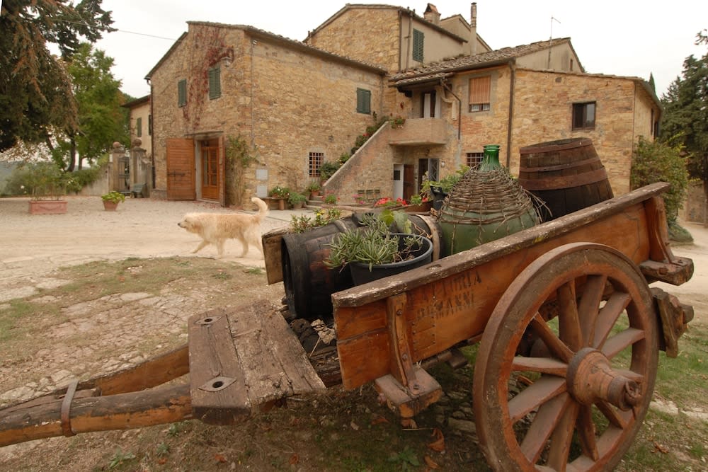 Fattoria Casa Sola 2